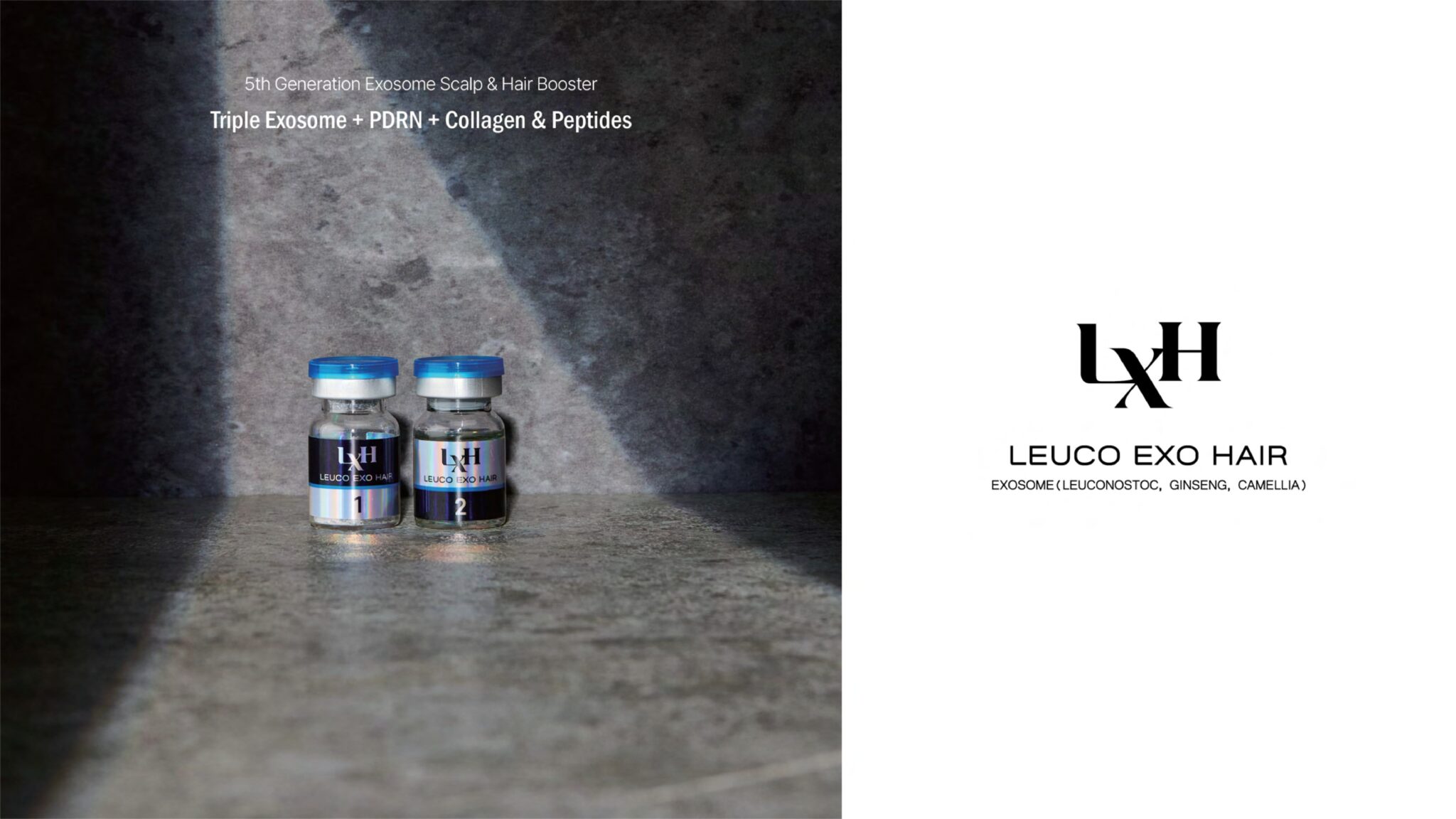 Brochure_riola_LEUCO EXO HAIR_EN_021